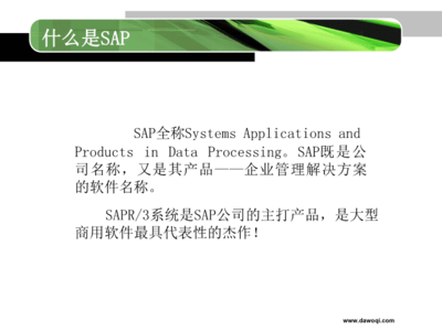 sap-erp二次開發(fā)語言abap簡介